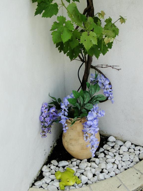 La Petite Maison Sur L'Ile De Re Ла Флот Екстериор снимка
